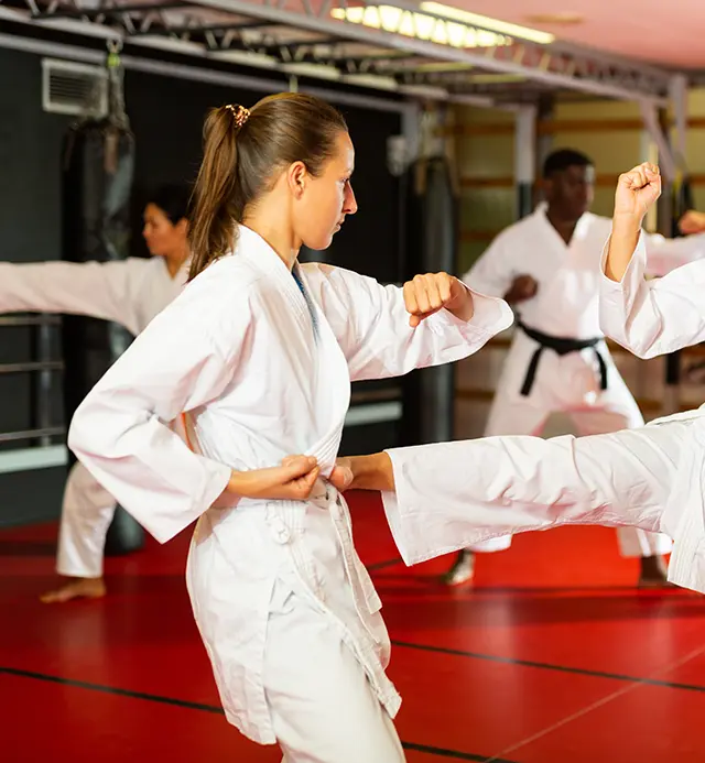 Karate udstyr